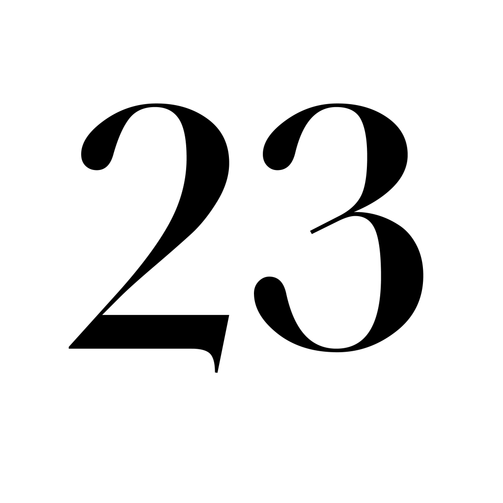 Artículo vintitrés