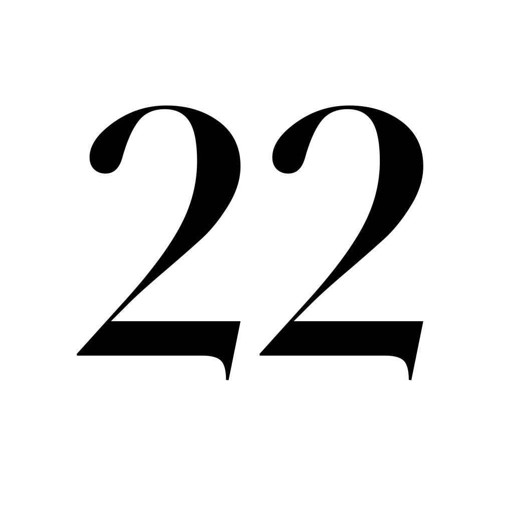 Artículo veintidós